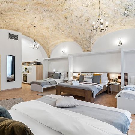 Charles Bridge Historical Apts By Michal&Friends براغ المظهر الخارجي الصورة